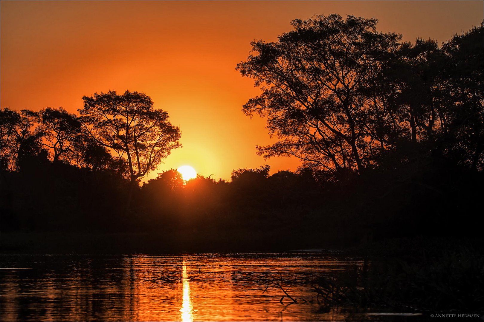 Pantanal [37] - Early Morning