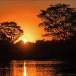 Pantanal [37] - Early Morning