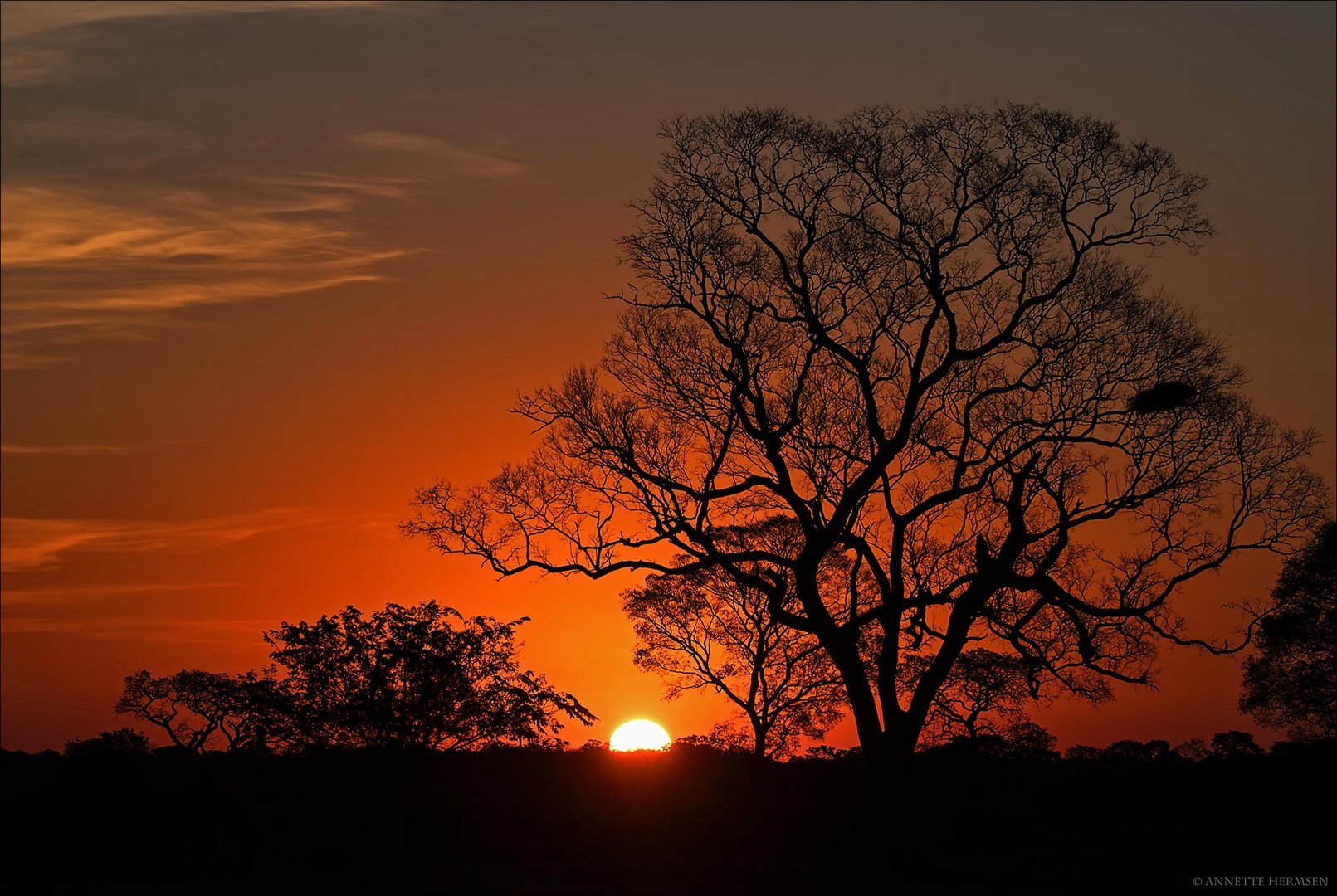 Pantanal [7] - Sunset