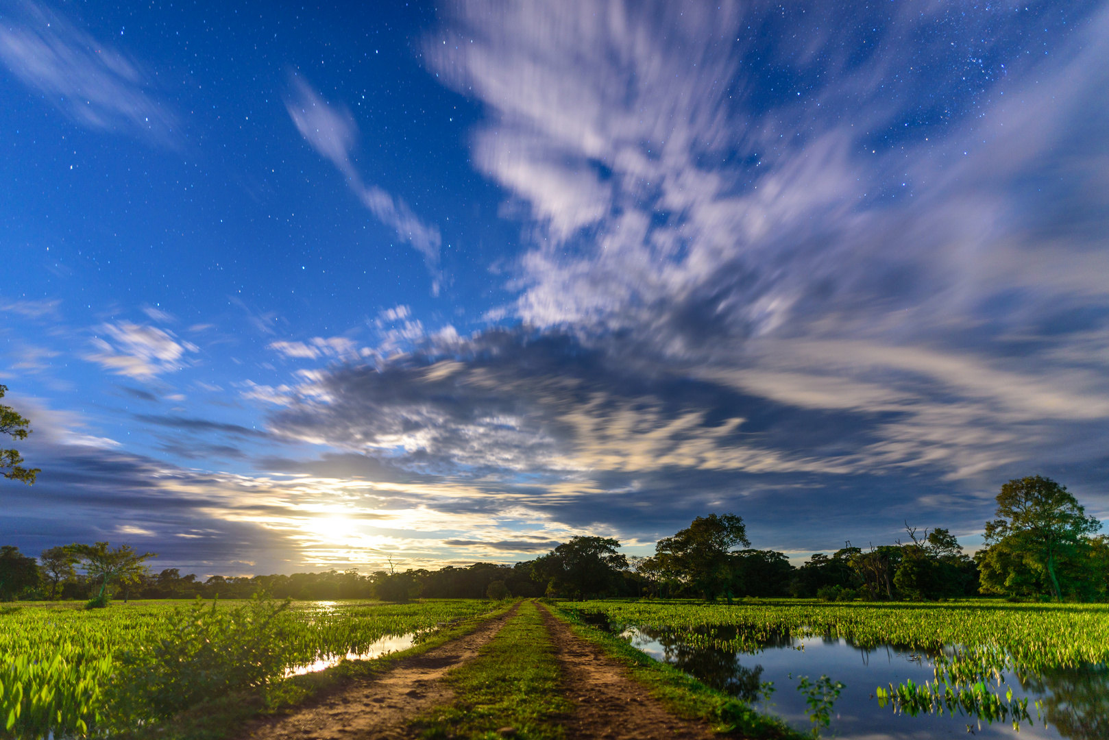 Pantanal