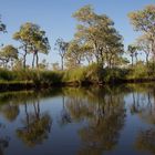 Pantanal Brasilien I