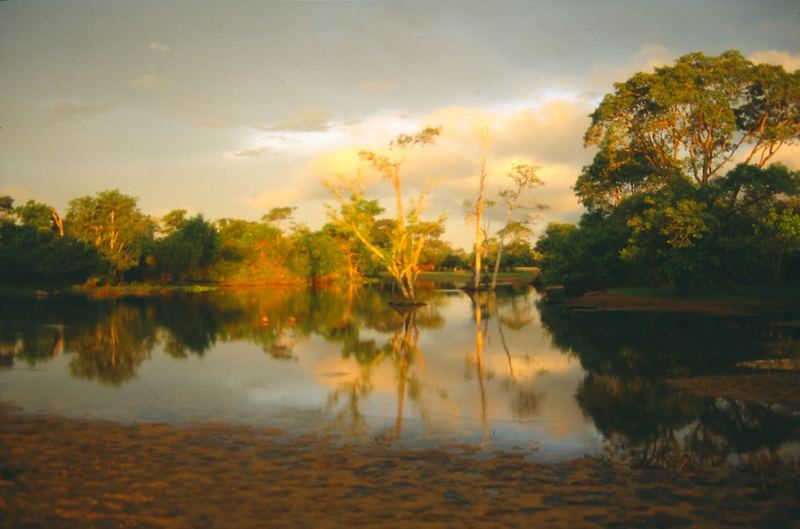 Pantanal