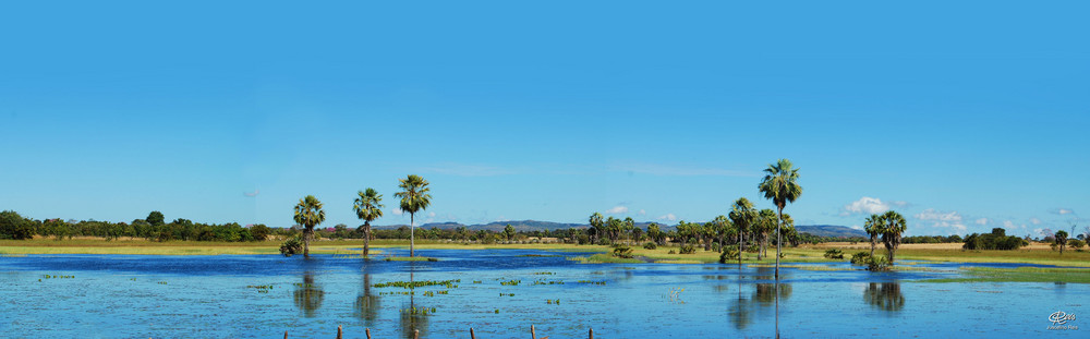 Pantanal dos Carnaubais no Piauí - Brasil