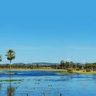 Pantanal dos Carnaubais no Piauí - Brasil