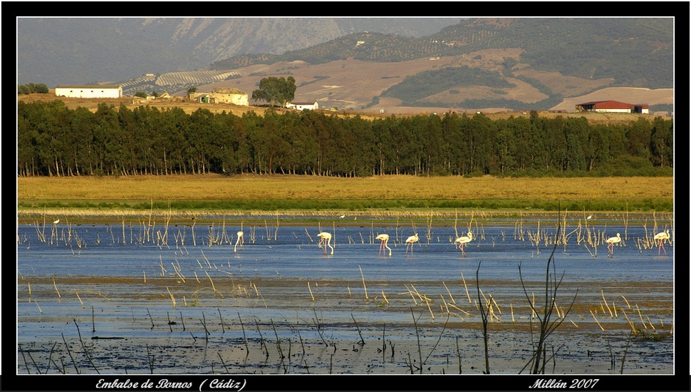 Pantano de Bornos (Cádiz)