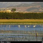 Pantano de Bornos (Cádiz)