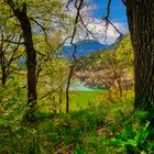 Pantano de la Llosa de Cavall