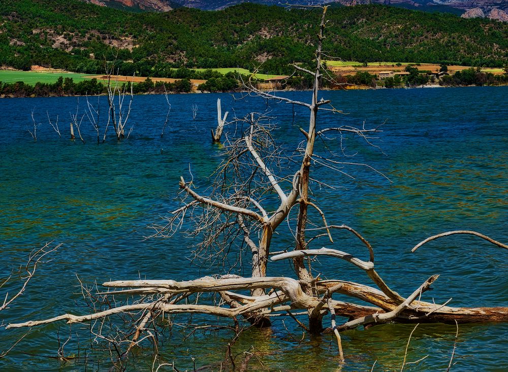 Pantano de Rialb