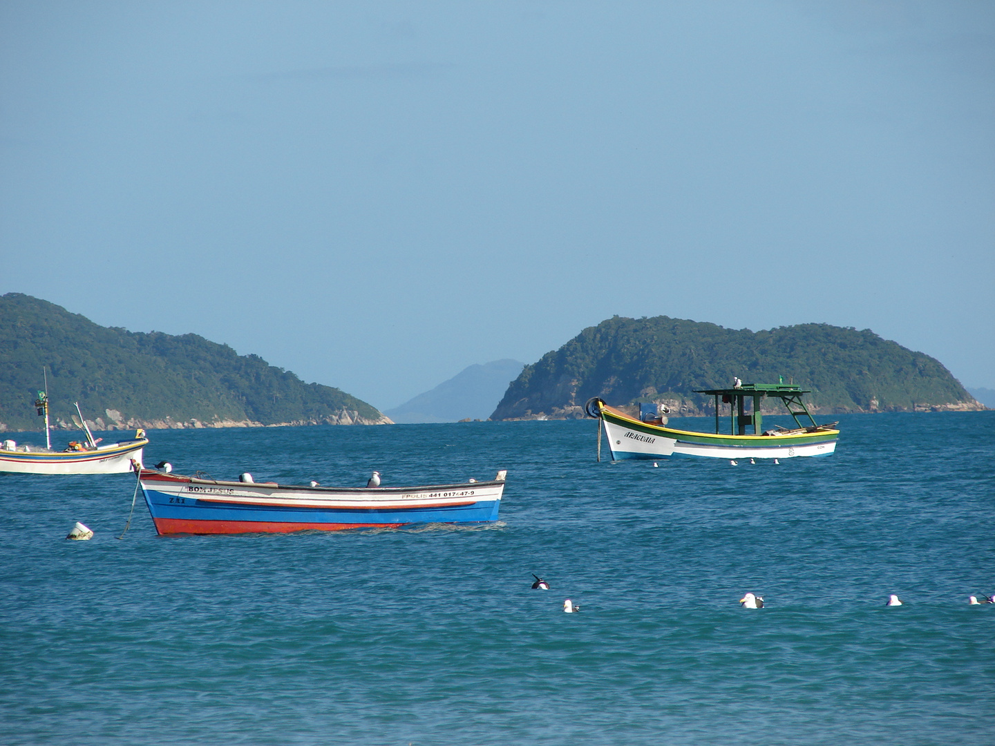 PANTANO DO SUL 2013  FLORIANOPOLIS BOTES DE PESCADORES - BRASIL