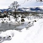 Pantano nevado