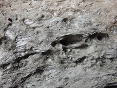 Pantelleritischer (natriumrhyolitischer) Bimsstein aus der Bay of Plenty, Neuseeland