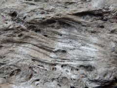 Pantelleritischer (natriumrhyolitischer) Bimsstein aus der Bay of Plenty, Neuseeland