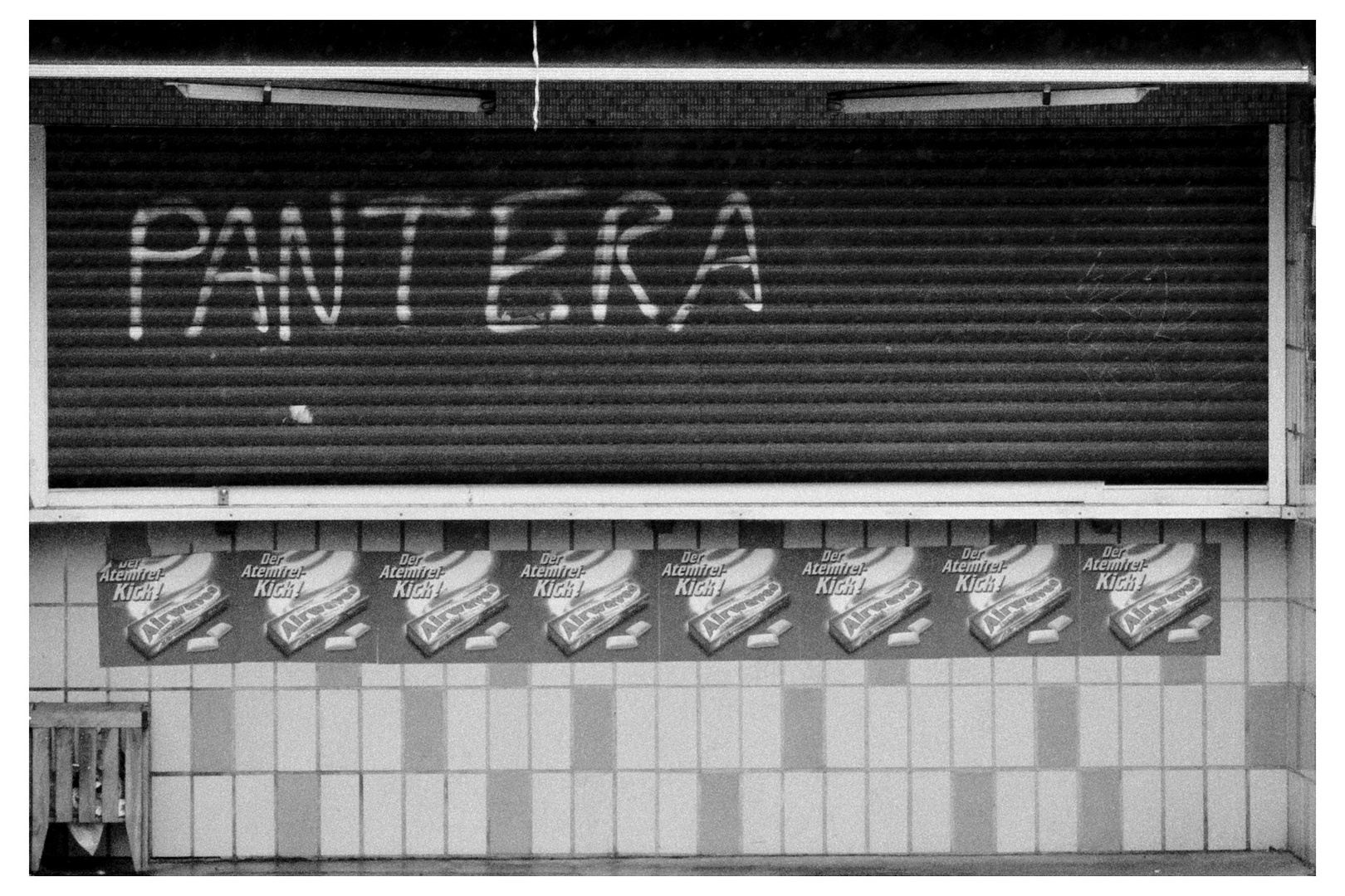 Pantera