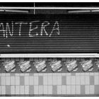 Pantera