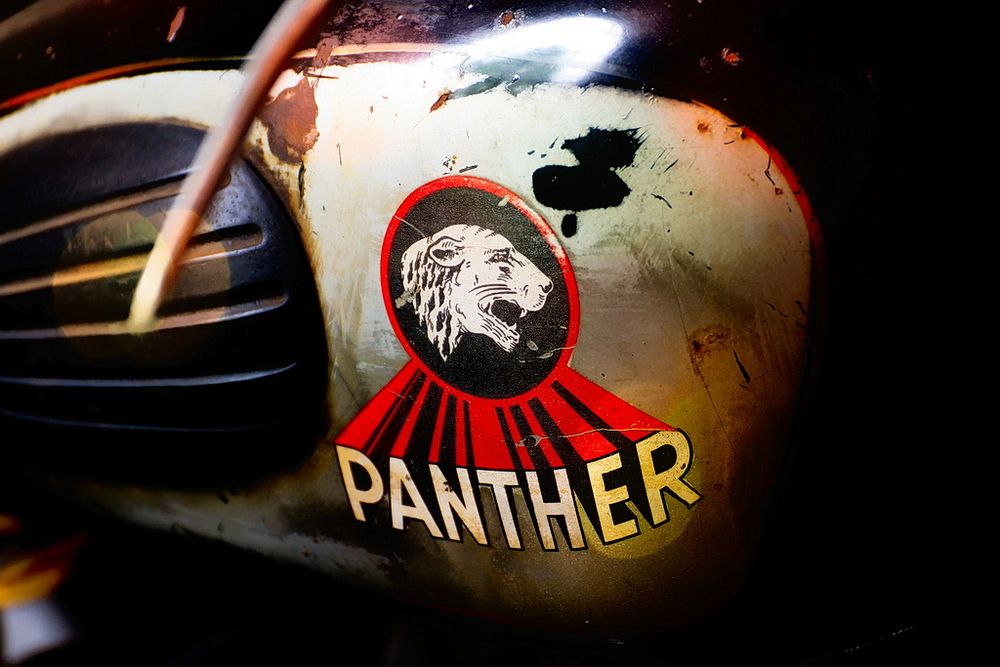 Panther