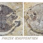 Panzer Schuppenfisch
