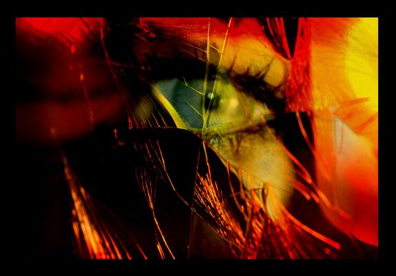 Panzerfolie des Lebens...