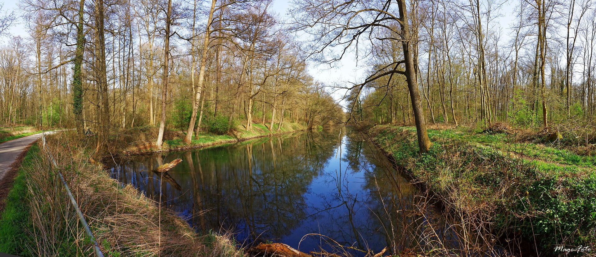 Panzergraben Berg - Wie Dazumal, Spiegeltag und Lebensräume