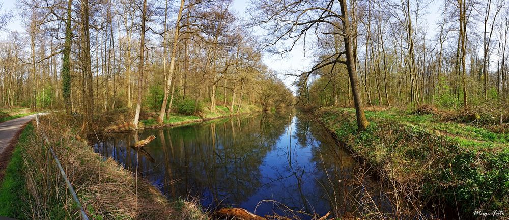 Panzergraben Berg - Wie Dazumal, Spiegeltag und Lebensräume