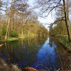 Panzergraben Berg - Wie Dazumal, Spiegeltag und Lebensräume