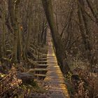 Panzersperre am Westwall (Eifel)