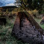 Panzersperren am Westwall