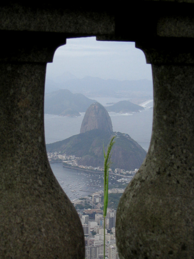 Pao de azucar