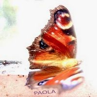paola PAOLA