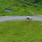 Paolo Diana - Fiat 131 Proto - Race on the Mountain