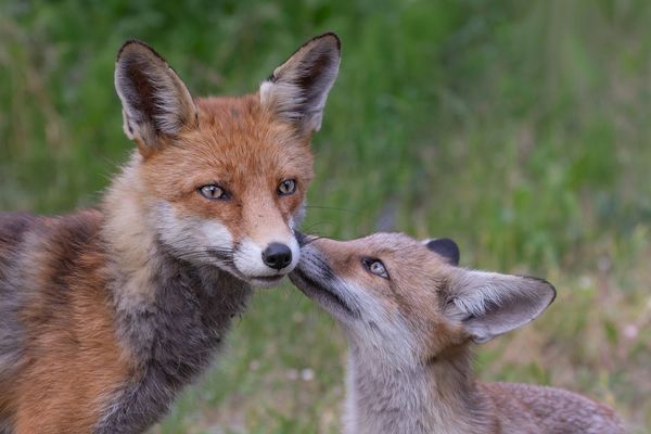 Papa, du bist der beste ! 