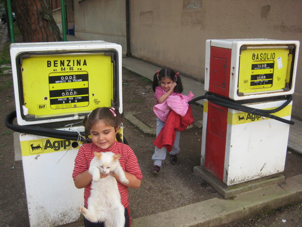 papa' ho trovatto un gatto..lo prendiamo...