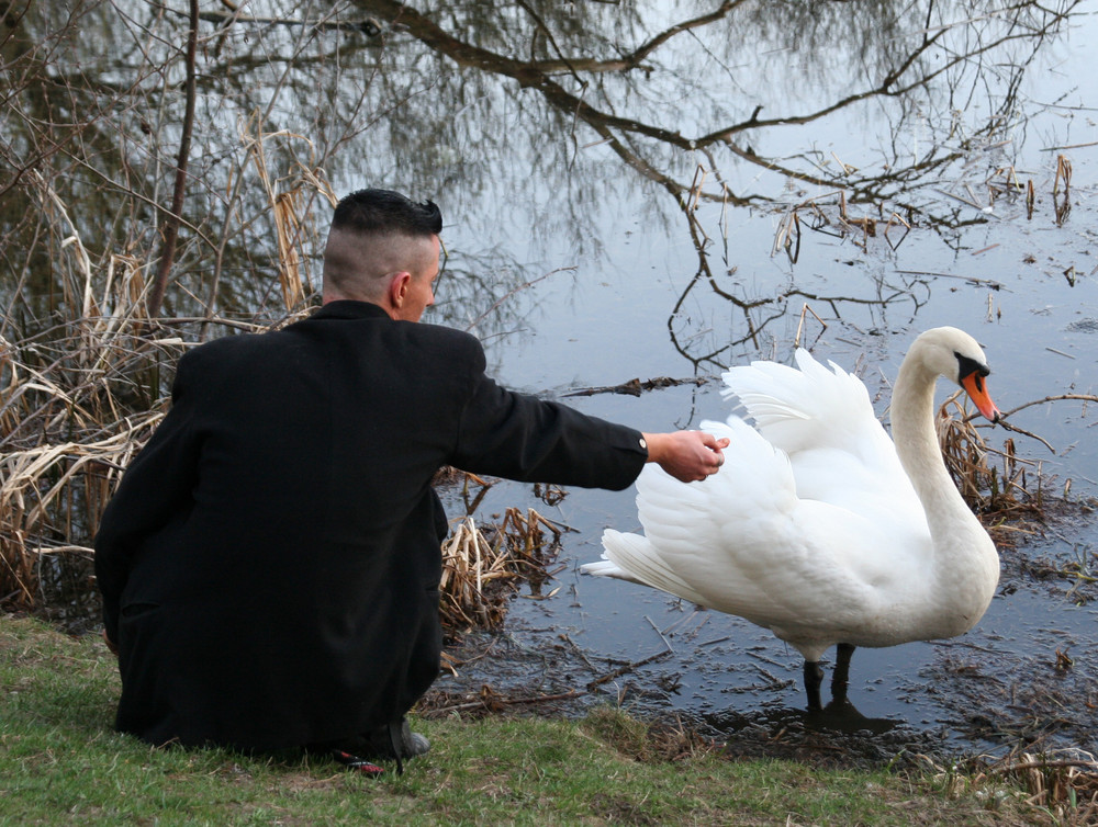 Papa Jag und der Schwan