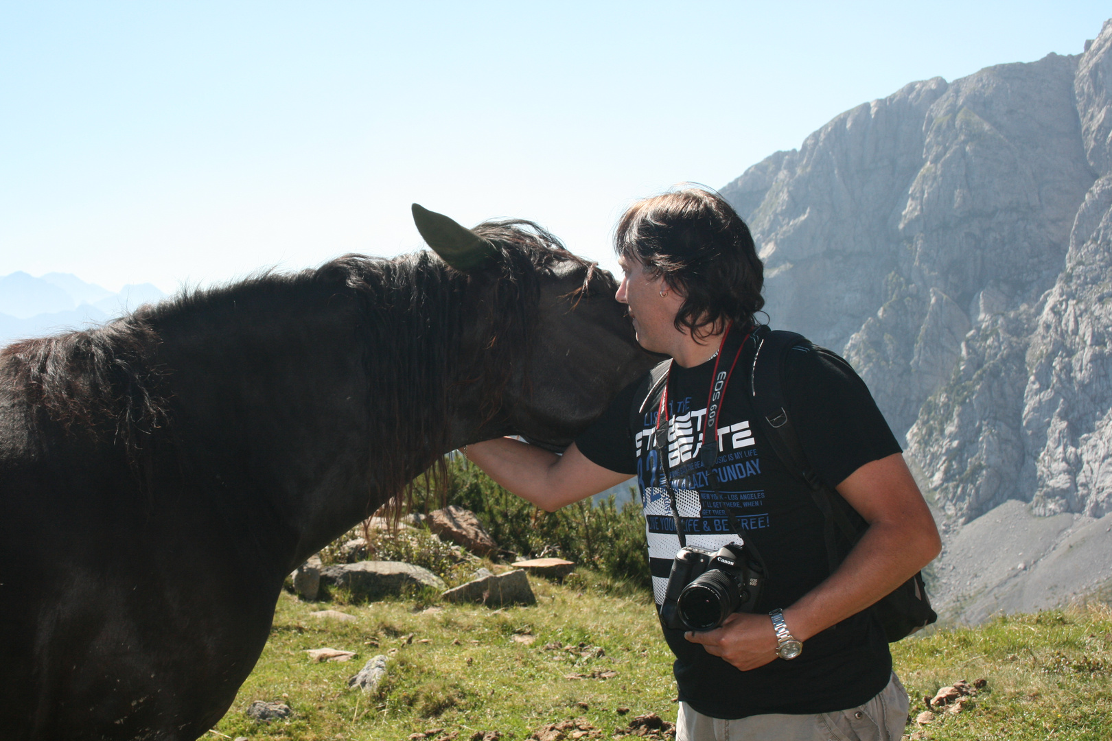 Papa und das Pferd