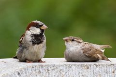 Papa und Kind