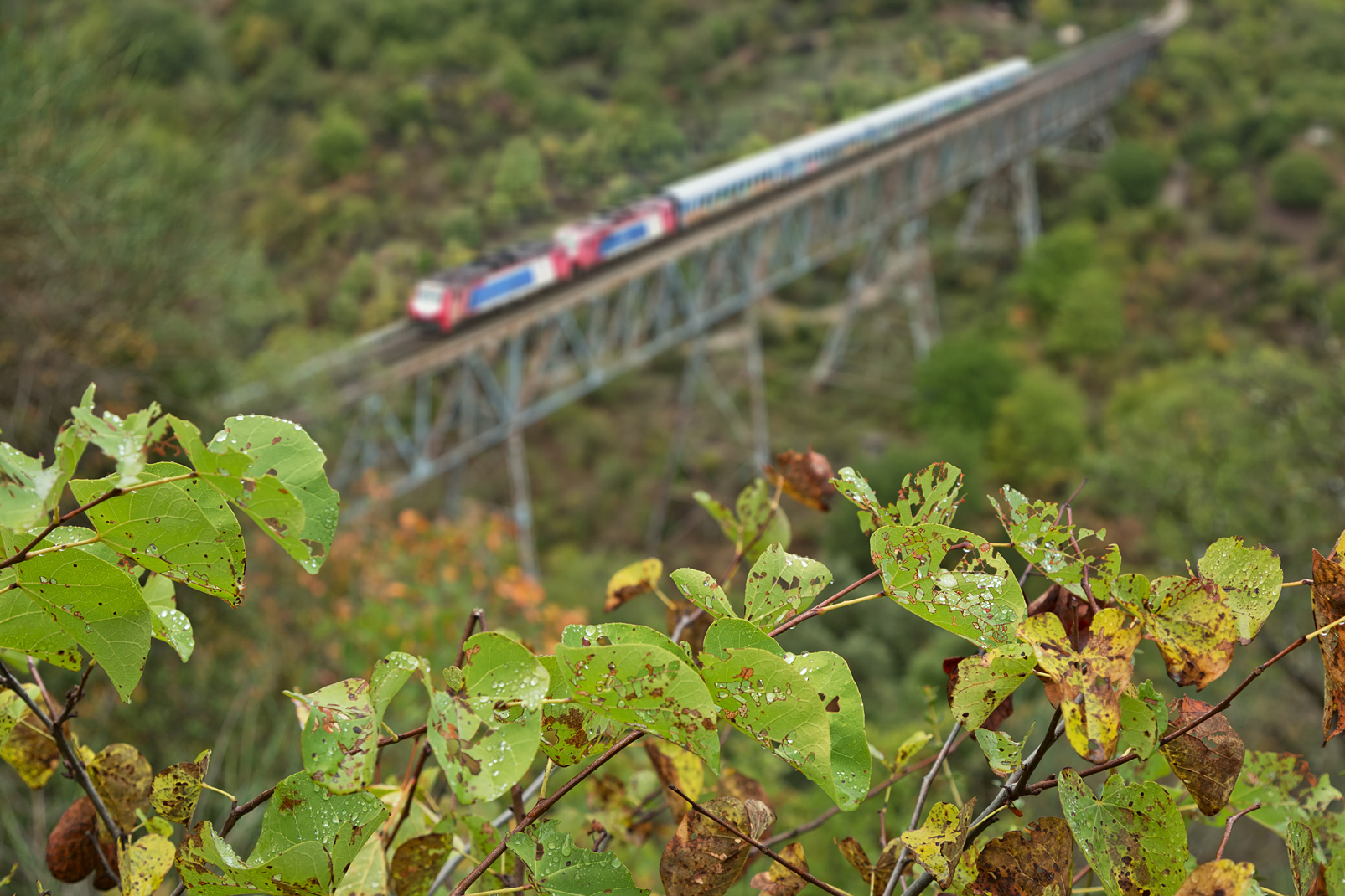 Papadia-Brücke II