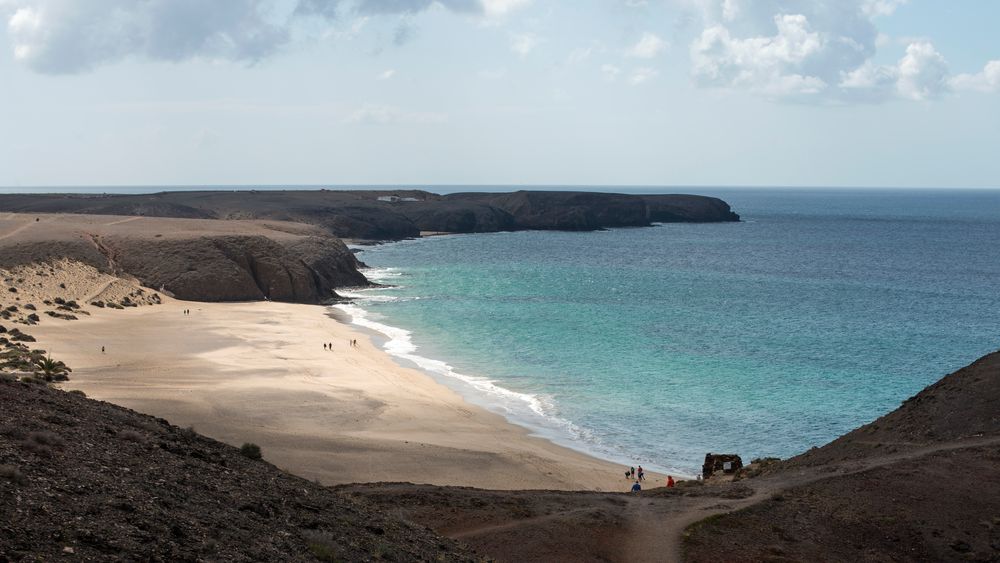 Papagayo