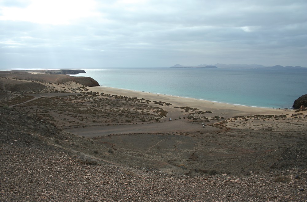 Papagayo