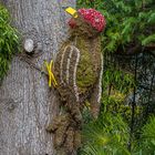 Papagei im Garten der Tiere