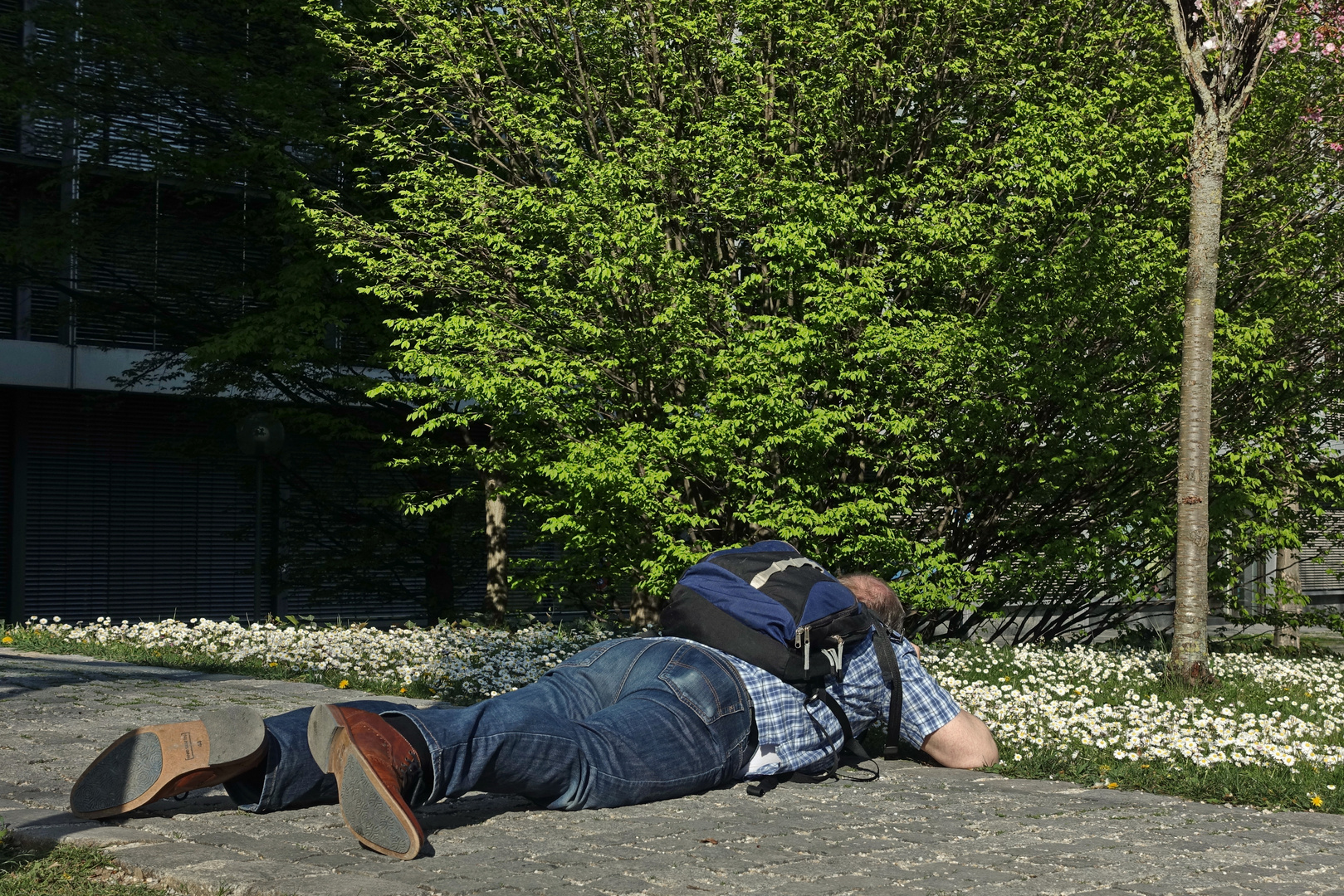 Paparazzi auf der Lauer ...