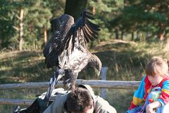 Paparazzi habens auch nicht leicht!