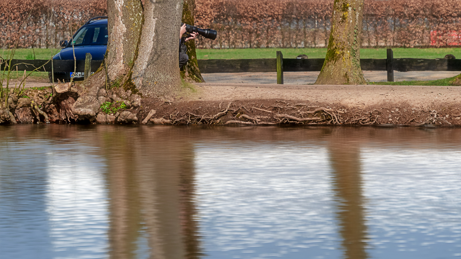 Paparazzi und Spiegelung