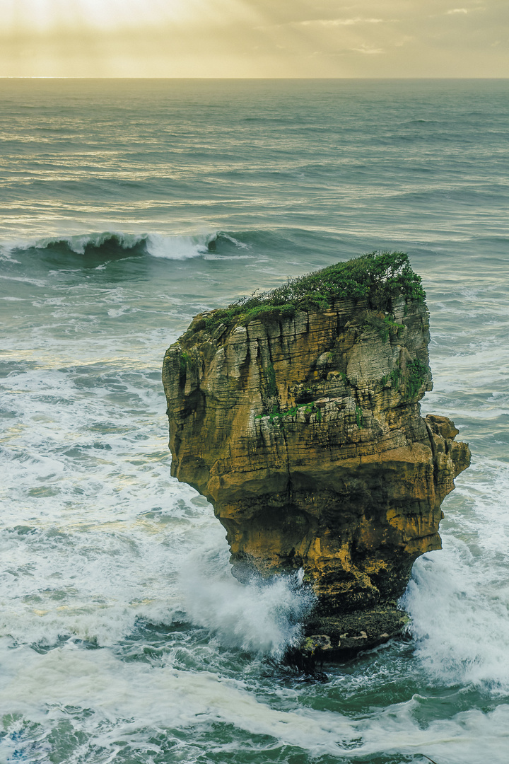 Paparoa National Park 