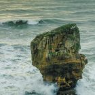 Paparoa National Park 