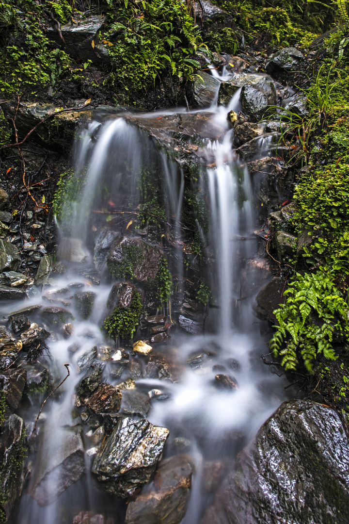 Paparoa-Nationalpark