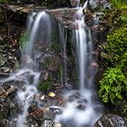 Paparoa-Nationalpark