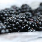 Papa´s Brombeeren