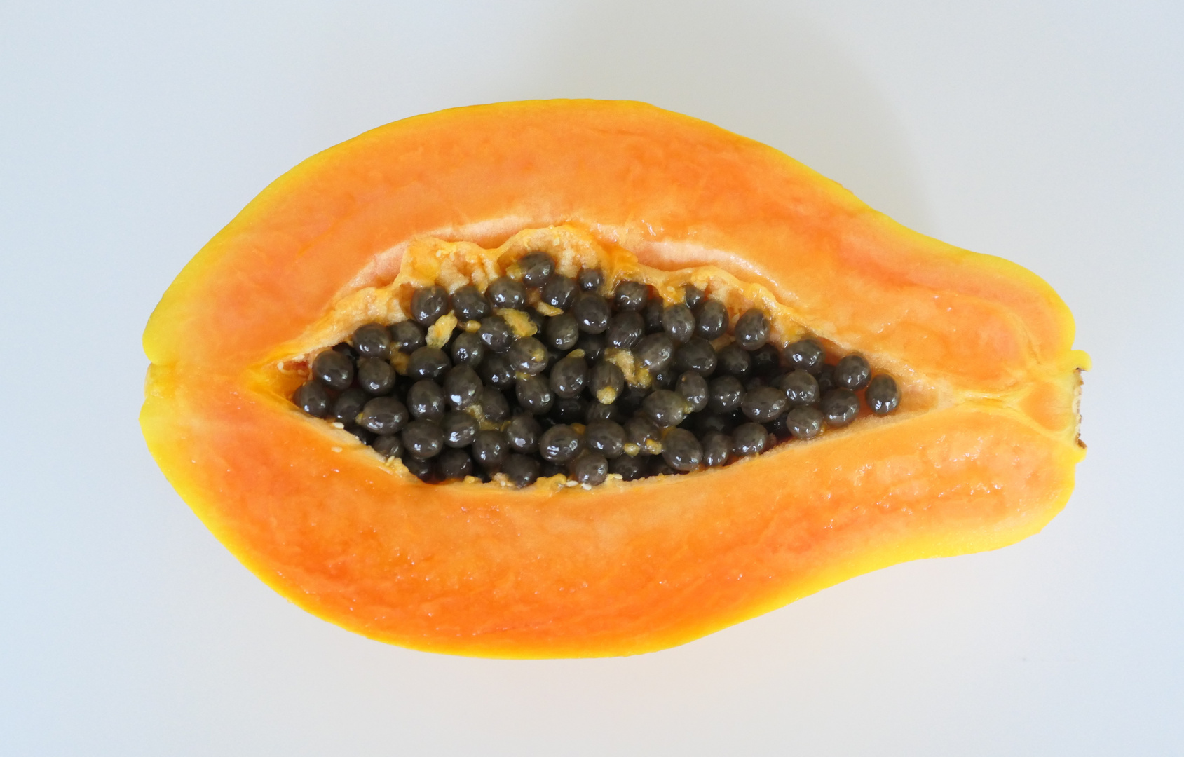 Papaya