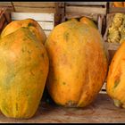 Papayas Peruanas