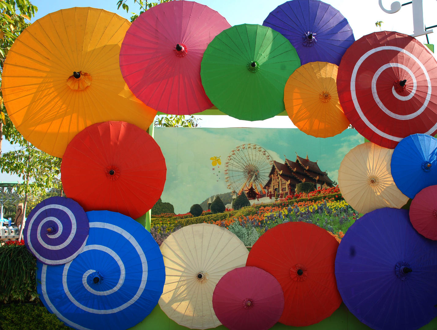 Paper umbrellas in Thailand.