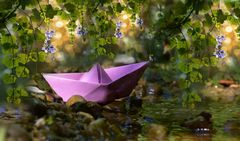 Paperboat :  Foto Montage